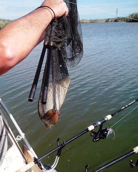 Sulina sept. 2013 - part. I - img20130918133115.jpg